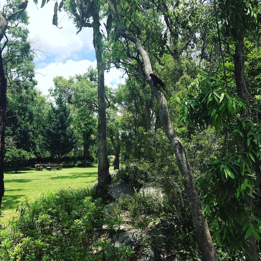 Honeysuckle Cottages Stanthorpe Ngoại thất bức ảnh